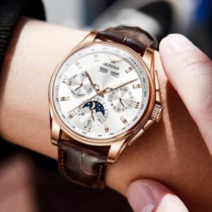 OUPINKE Luxury Watch For Man Top Brand Mechanical Wrist Watches Sapphire Glass Waterproof Leather Strap Automatic